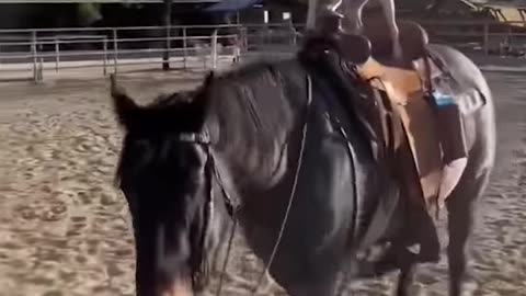 Dog Rides Horse Friend