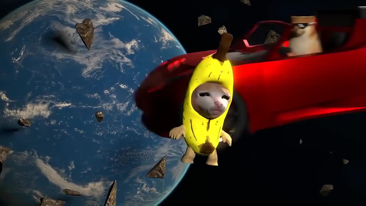 Funny Banana Cat