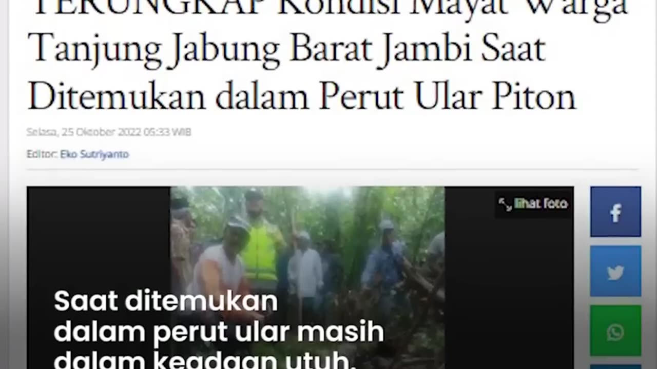 Kondisi Warga Jambi yang Ditemukan di Dalam Perut Ular Piton, Tewas dan Jasadnya Masih Utuh