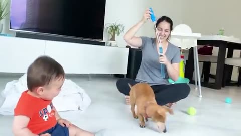 Best video of cute baby and puppies