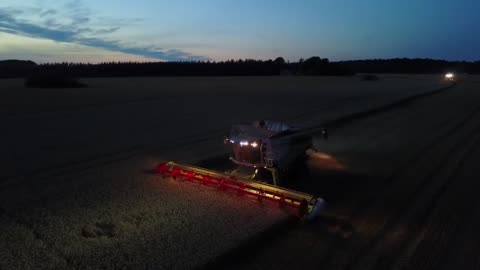 Trolleholms Gods Veteskörd - Harvesting wheat - уборка пшеницы