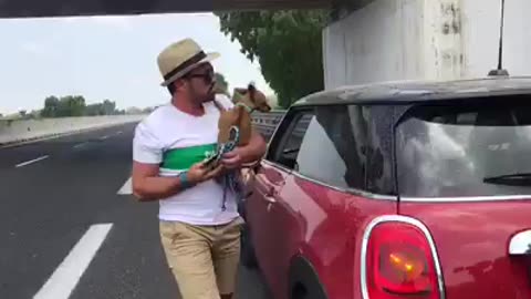 Abbandonate i cellulari, non gli animali!