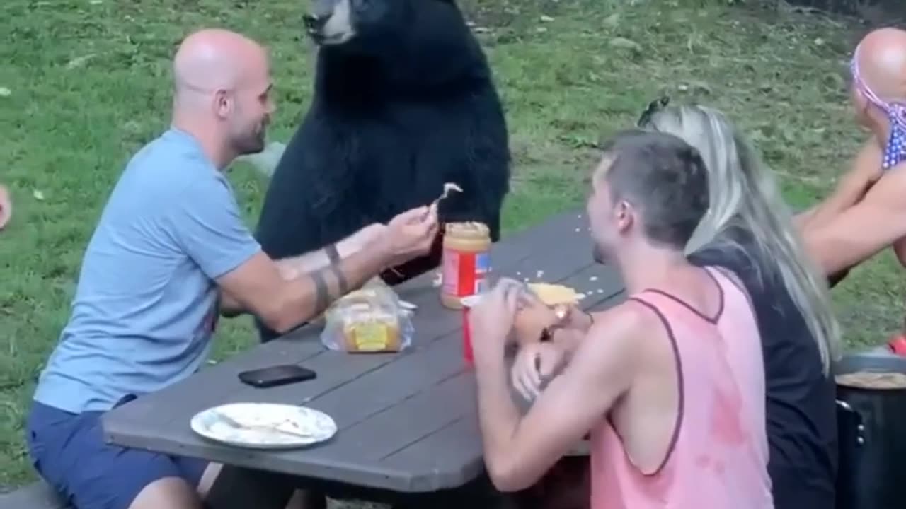 last time in the park