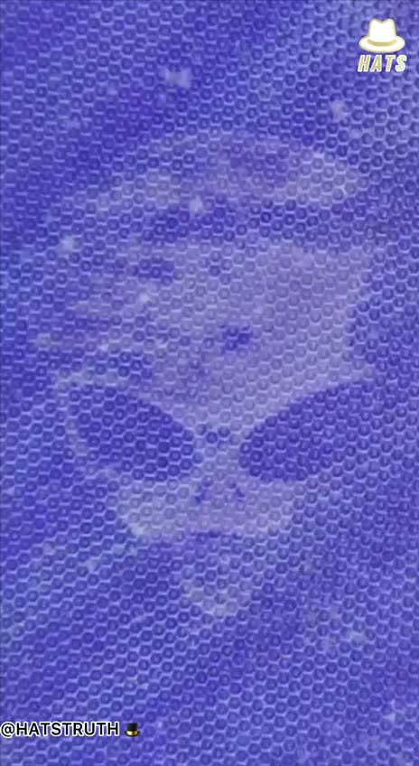 The tall Grays own the business...