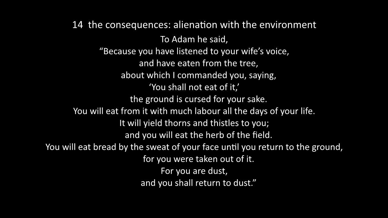 Genesis no3 man in revolt