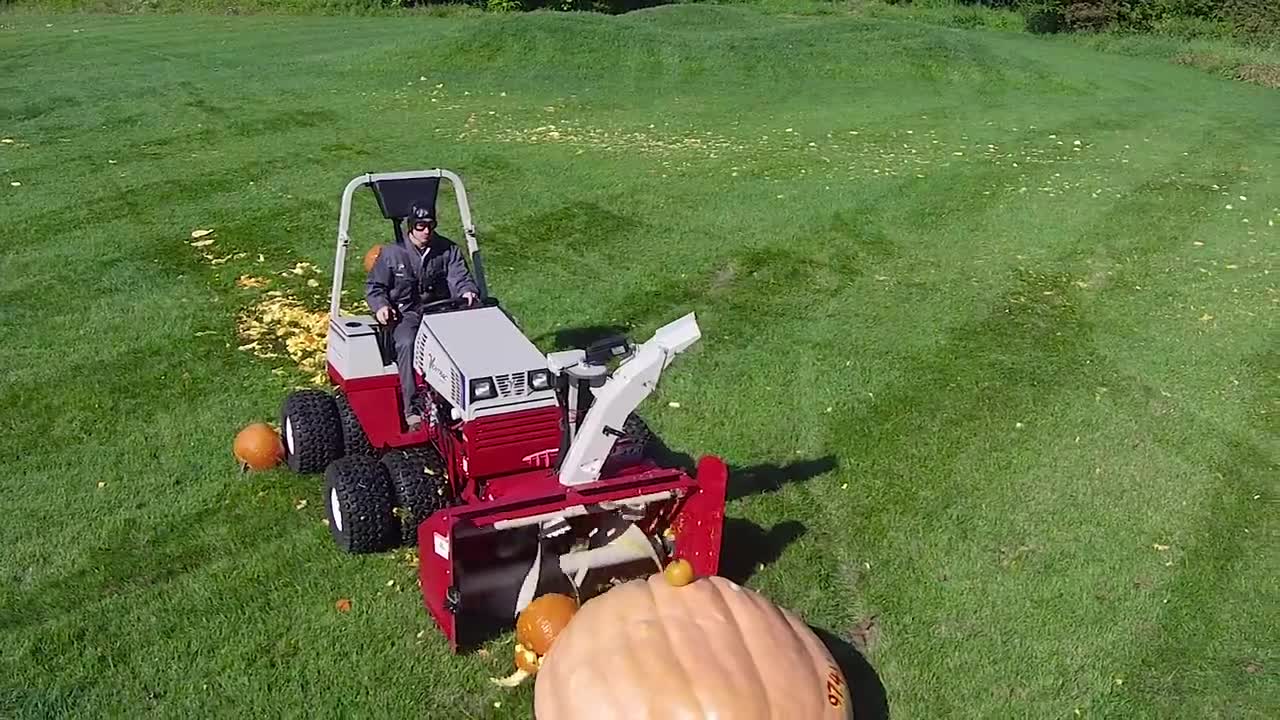 Giant Pumpkin vs Tractor