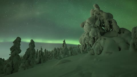 Aurora Borealis, Northern Lights, Winter Timelapse