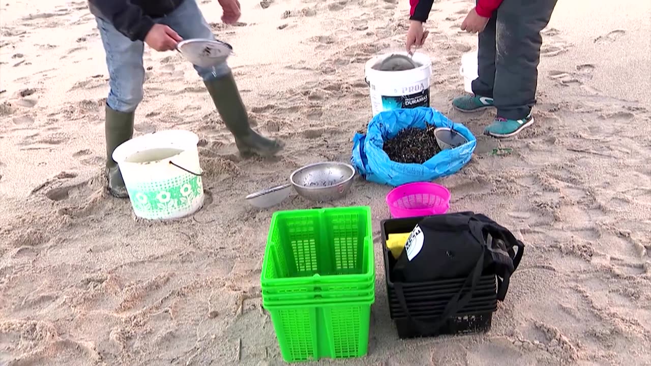 Millions of plastic pellets wash up in Spain