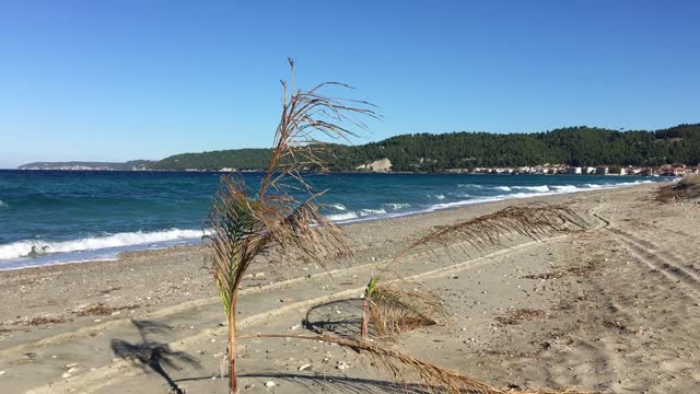 View of Mount Olympus from the beach of the village of Fourka Beach Kassandra