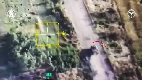 FPV drone hit Russian armored personnel carrier in Melitopol direction