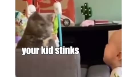 Cats vs kids😂