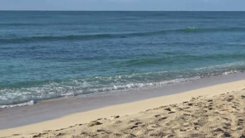 Ewa Beach, HI — White Plains Beach