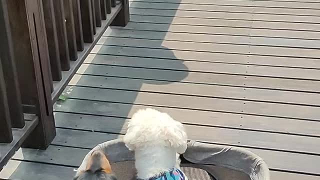我在兜風