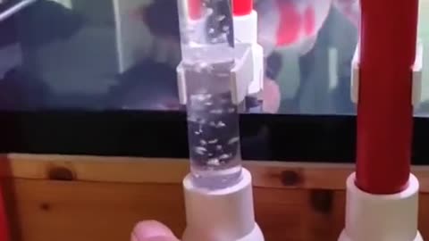 Smart trick for cleaning fishtank