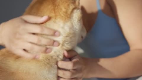 Amazing dog owner hugging her dog