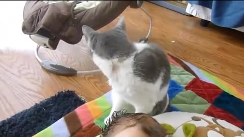 Mama cat wants to take care human baby 😯