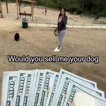 Someone Is Going To Sell Me A Dog