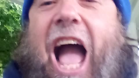 shapeshifters among us