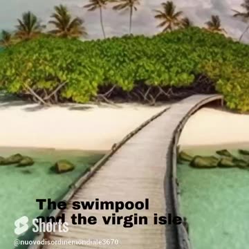 The swim pool and the virgin isle. What do you prefer? #shorts