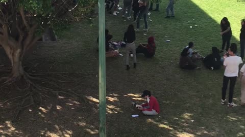 Dog Fleeing Hoop Bumps Into Student