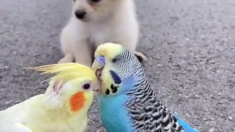 So cute😍😍😍