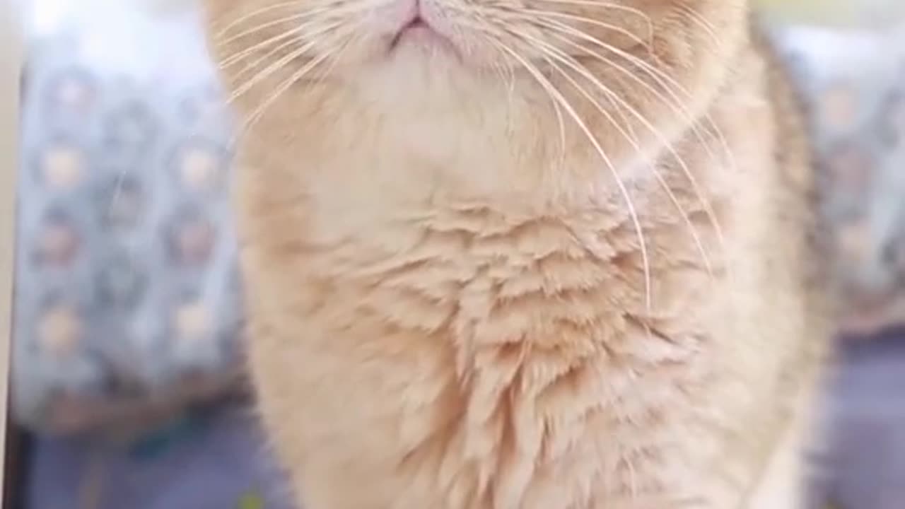Best video 2023