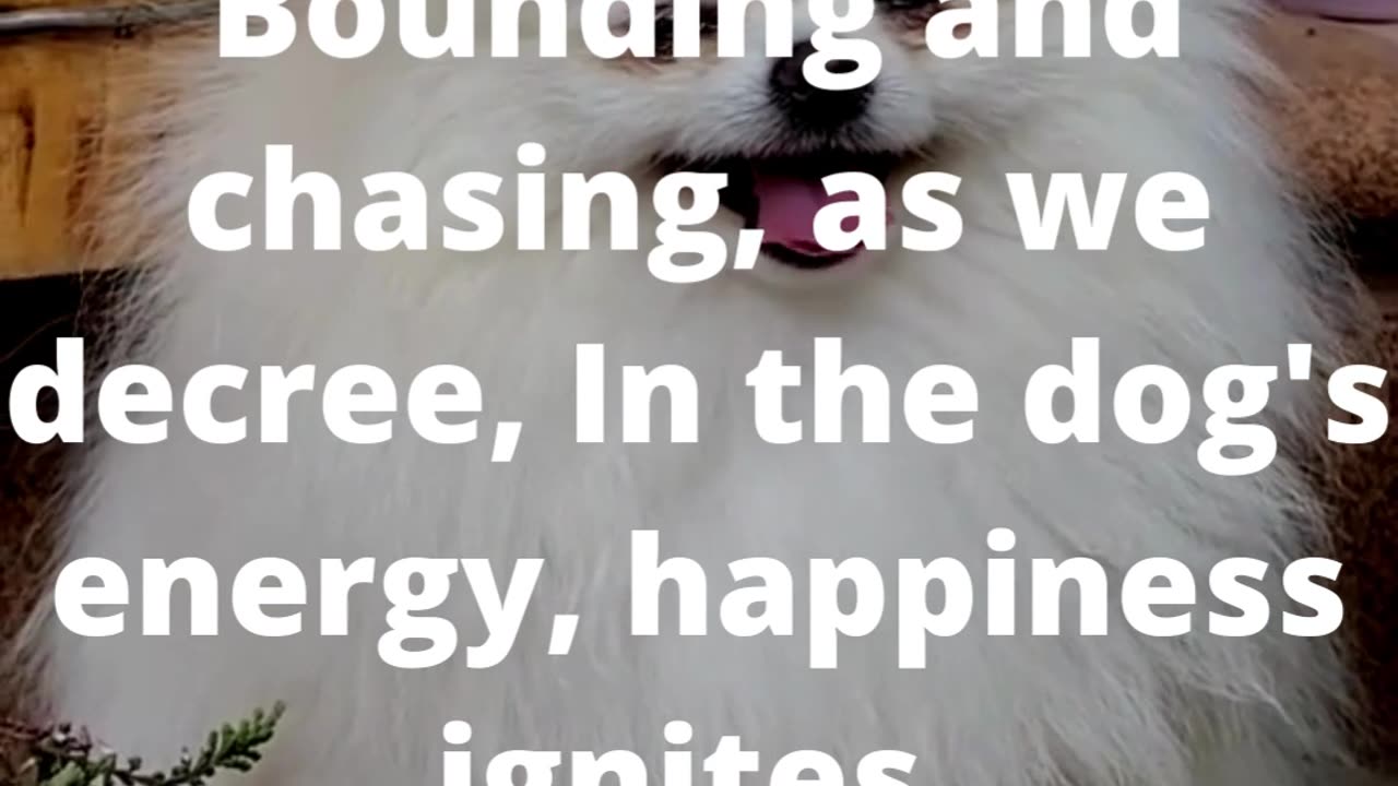 Furry Friends and Fables: Literary Musings on Four-Legged Companions #poem #poetry #shorts #artπππ