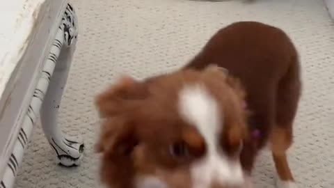 Do I make you smile too