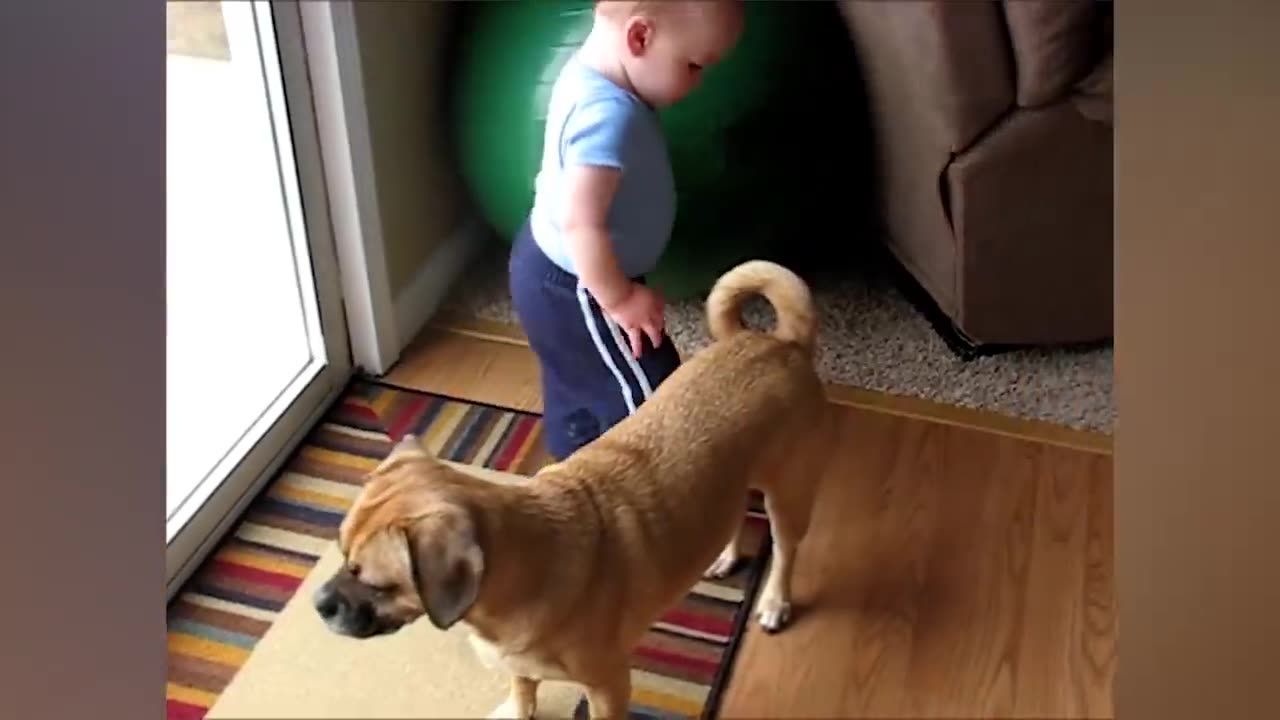 Cute Babies Playing With Dogs Compilation | Funny Baby And Pets