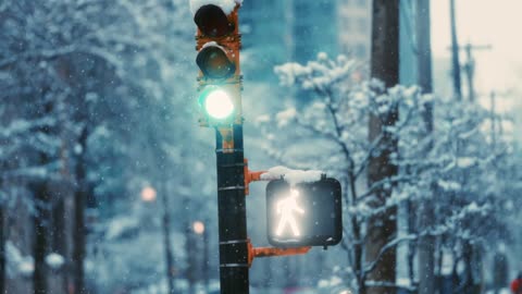 Xmas Street Crossing