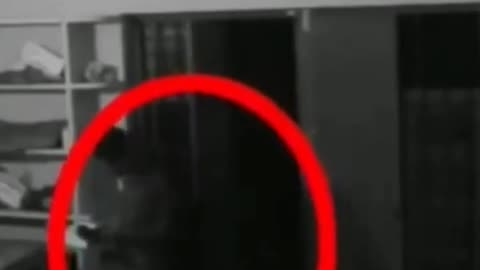 The Best Unexpected Activity Video