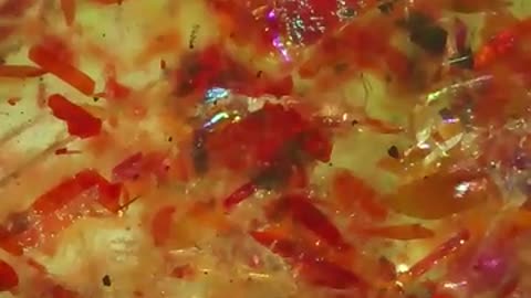 Looking at different gems under a microscope