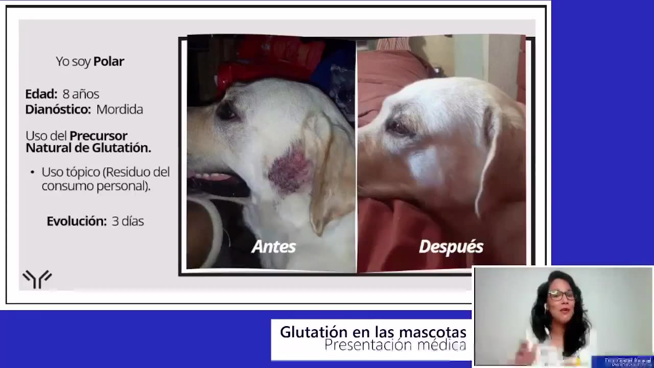 Casos de uso de Immunocal en mascotas _ Dra. Gretel Raquel