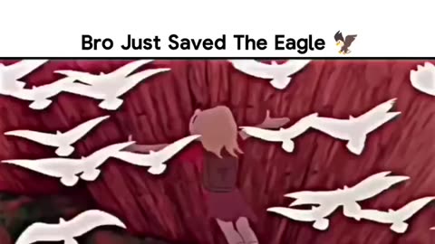 Eagle save the kid