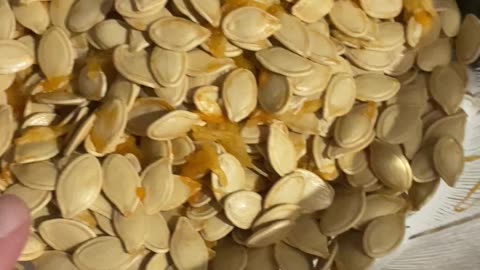 Getting ready to make roasted pumpkin seeds