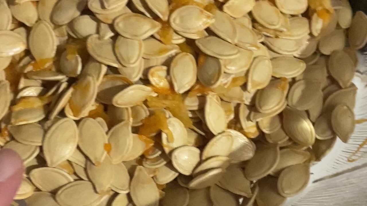 Getting ready to make roasted pumpkin seeds