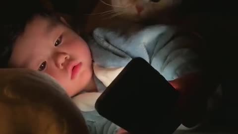 night wtih cat