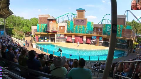 SeaWorld Orlando Sea Lions Show