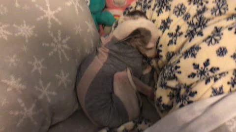 Dog sweater thrift flip tutorial