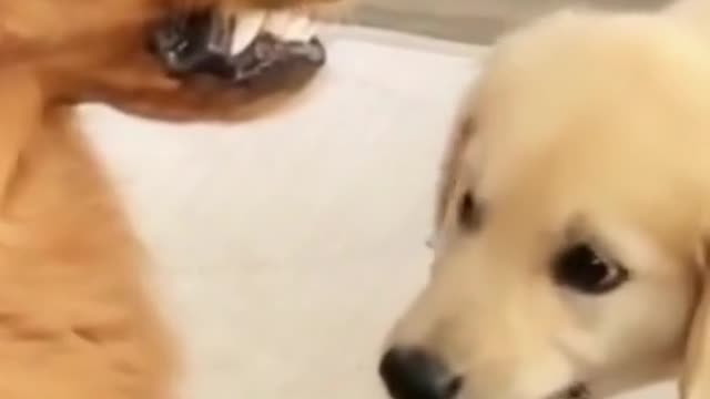 Holding back his anger
