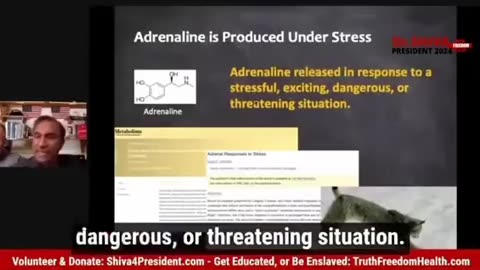 How ADRENOCHROME is created.