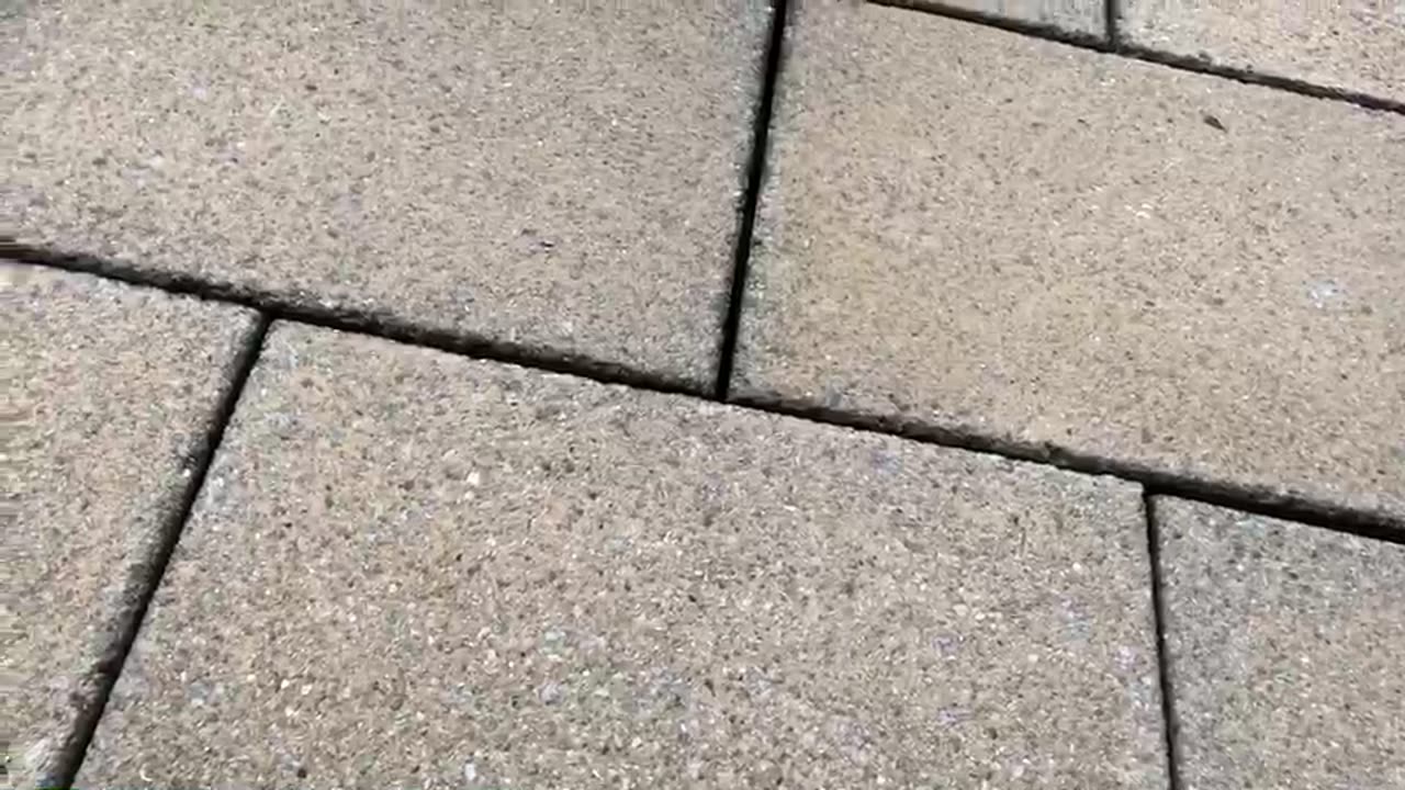 20180820文贵先生视频：Snow小视频