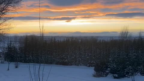 Sunset on the Farm