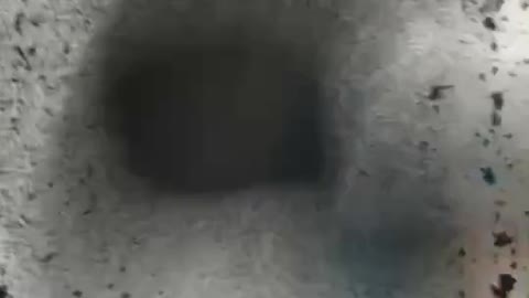 WhatsApp Video 2020-12-26 at 10.30.40 PM