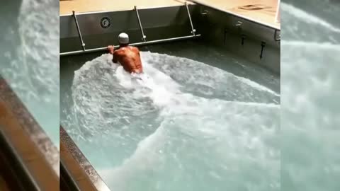 Most Funny Moments in Sports