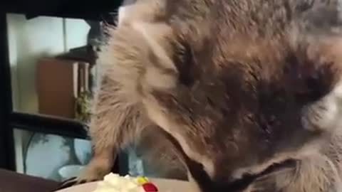 The cake looks good and looks like it's eating with relish