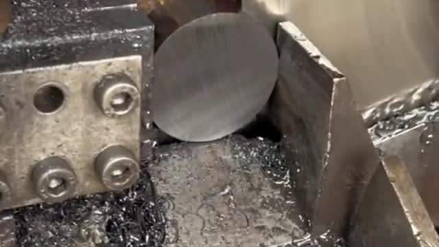 she drove the cockroaches