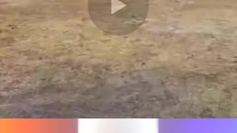 Homeless Camps Spreading Outside of LA