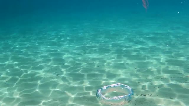 Turbulence Twists Jellyfish Up in Bubbles