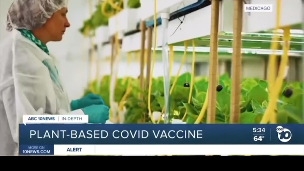 PLANT-BASED Vegan 🌱 Covid Vaccine⁉️